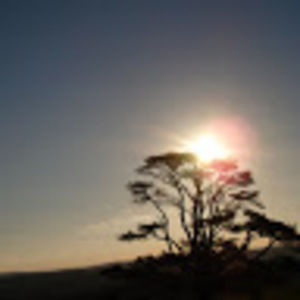 Meet your Posher, Billy